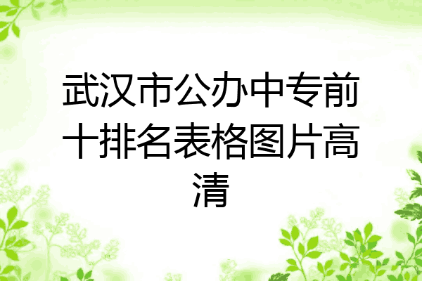 武汉市公办中专前十排名表格图片高清