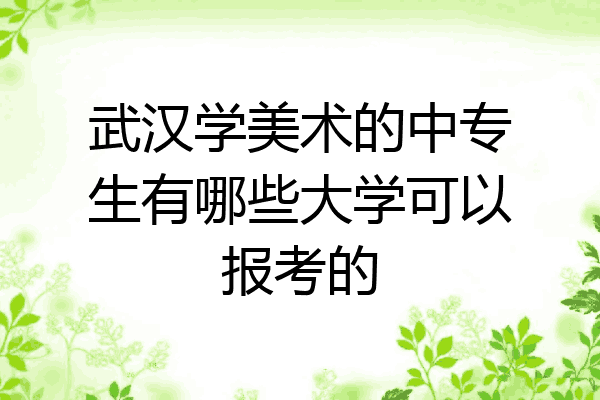 武汉学美术的中专生有哪些大学可以报考的