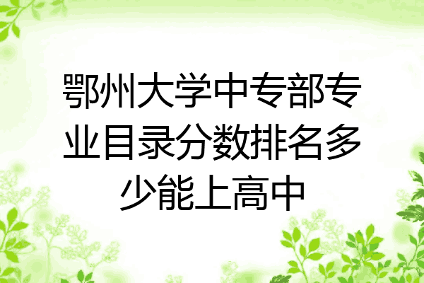 鄂州大学中专部专业目录分数排名多少能上高中