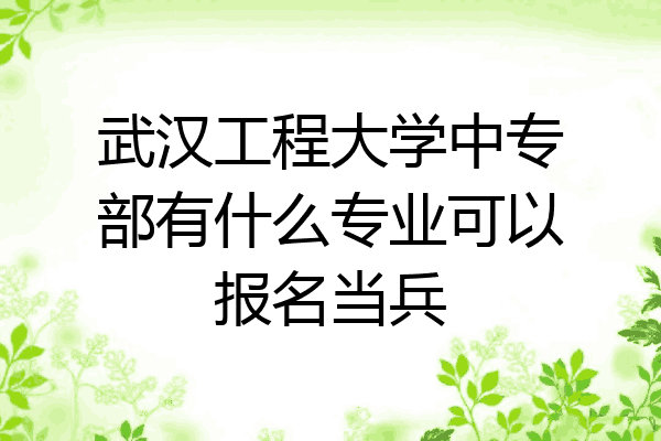 武汉工程大学中专部有什么专业可以报名当兵