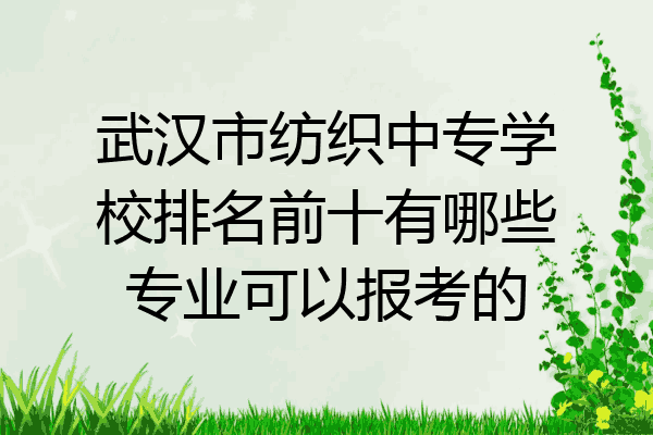 武汉市纺织中专学校排名前十有哪些专业可以报考的