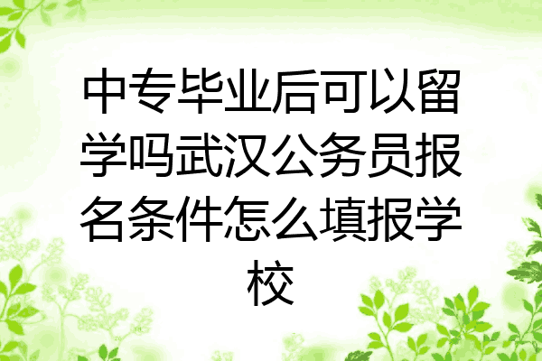 中专毕业后可以留学吗武汉公务员报名条件怎么填报学校