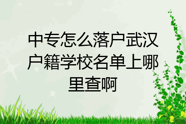 中专怎么落户武汉户籍学校名单上哪里查啊