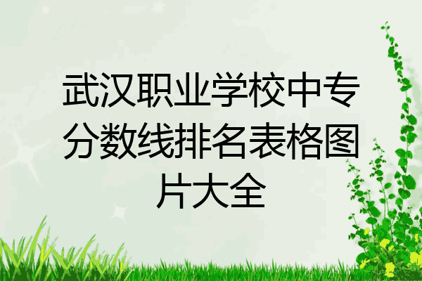 武汉职业学校中专分数线排名表格图片大全