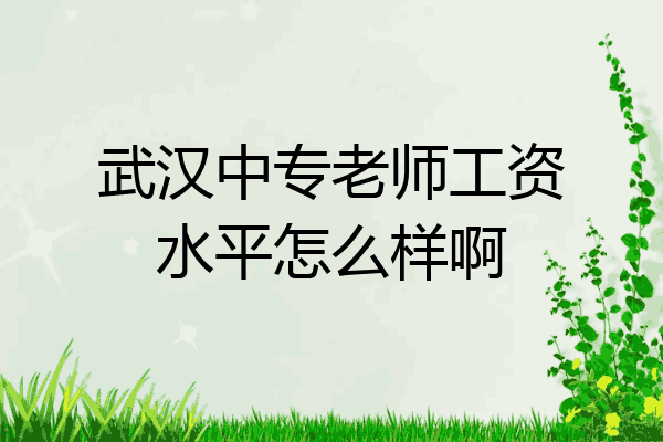 武汉中专老师工资水平怎么样啊