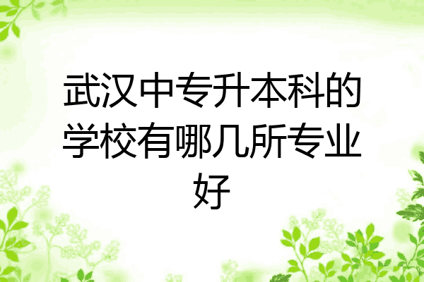 武汉中专升本科的学校有哪几所专业好