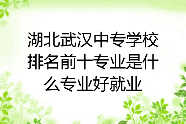 湖北武汉中专学校排名前十专业是什么专业好就业