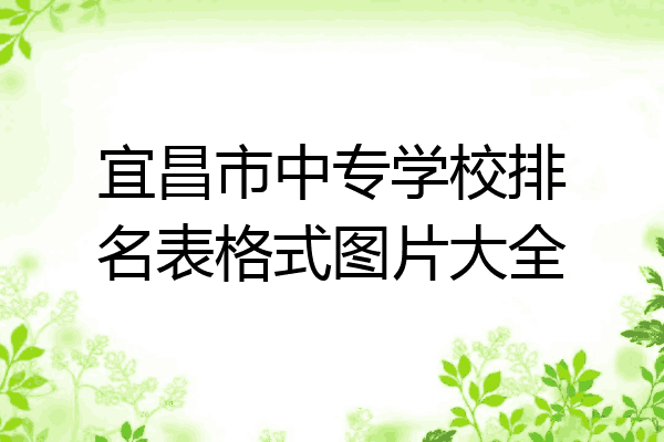 宜昌市中专学校排名表格式图片大全