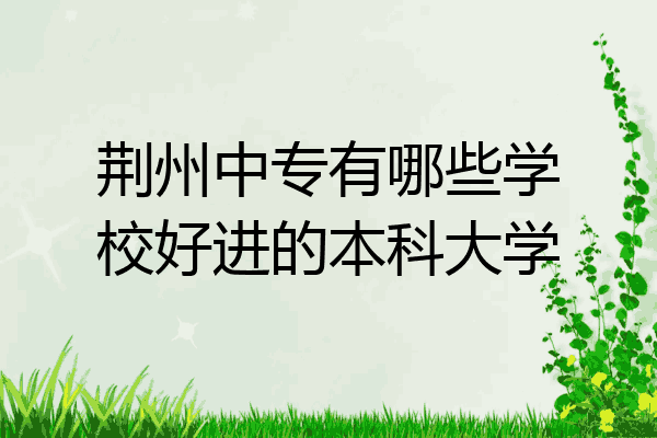 荆州中专有哪些学校好进的本科大学