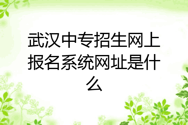 武汉中专招生网上报名系统网址是什么