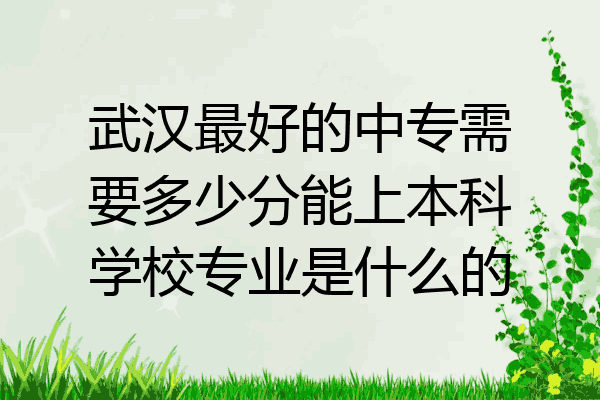 武汉最好的中专需要多少分能上本科学校专业是什么的