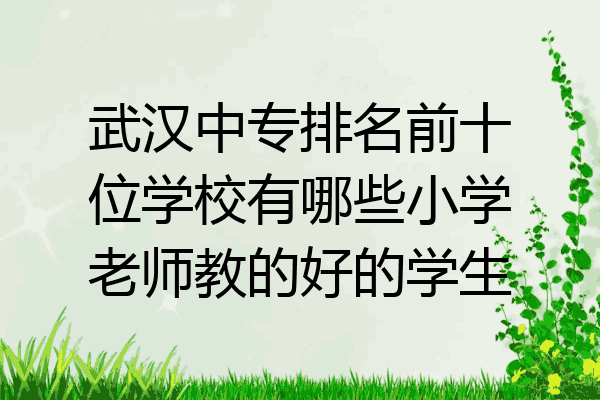 武汉中专排名前十位学校有哪些小学老师教的好的学生