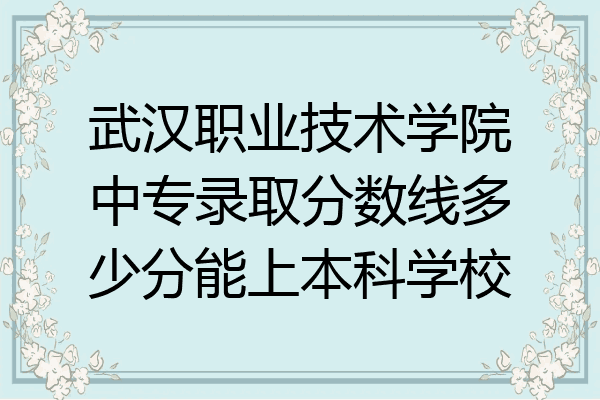 武汉职业技术学院中专录取分数线多少分能上本科学校