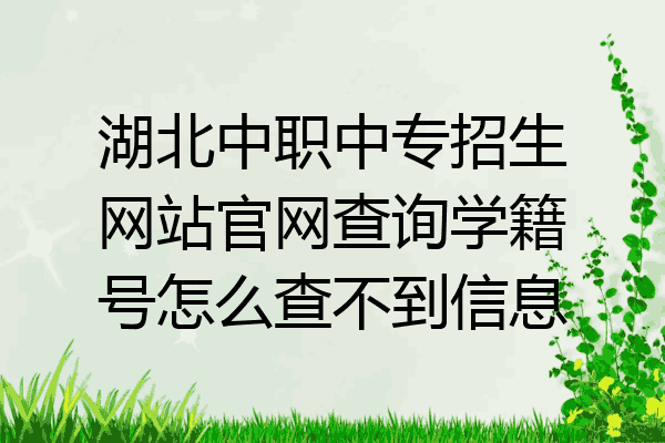 湖北中职中专招生网站官网查询学籍号怎么查不到信息