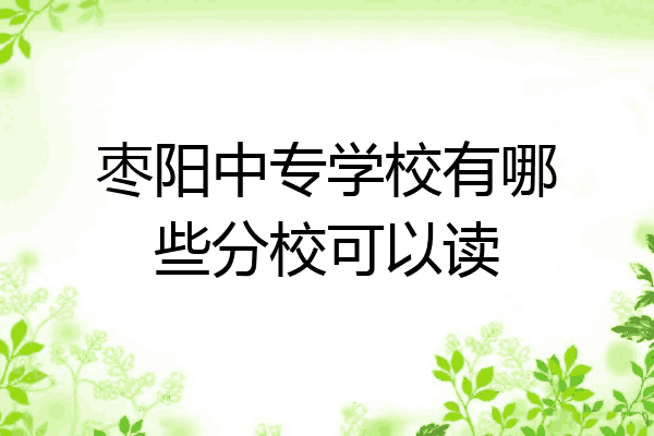 枣阳中专学校有哪些分校可以读