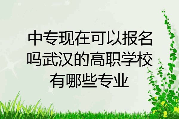中专现在可以报名吗武汉的高职学校有哪些专业
