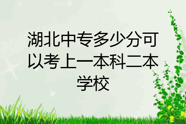 湖北中专多少分可以考上一本科二本学校