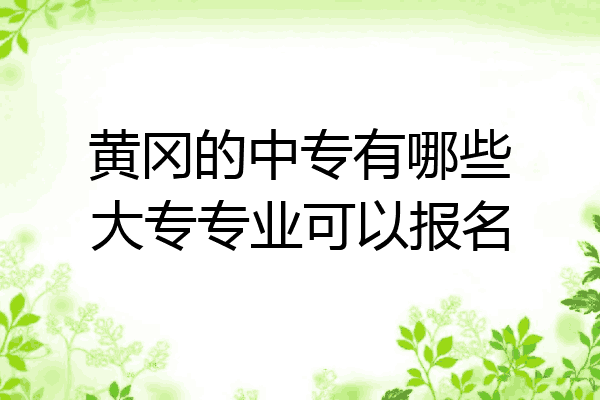 黄冈的中专有哪些大专专业可以报名