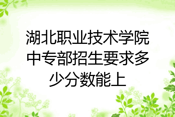湖北职业技术学院中专部招生要求多少分数能上
