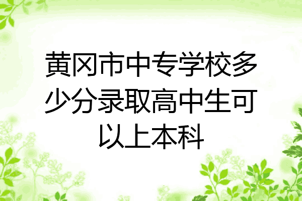 黄冈市中专学校多少分录取高中生可以上本科