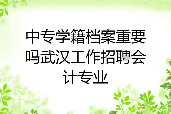 中专学籍档案重要吗武汉工作招聘会计专业
