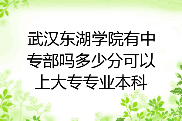 武汉东湖学院有中专部吗多少分可以上大专专业本科