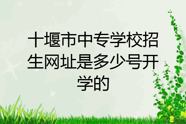十堰市中专学校招生网址是多少号开学的