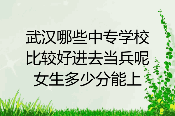武汉哪些中专学校比较好进去当兵呢女生多少分能上