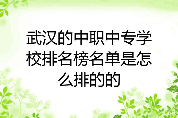 武汉的中职中专学校排名榜名单是怎么排的的