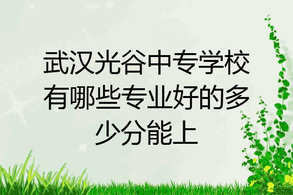 武汉光谷中专学校有哪些专业好的多少分能上