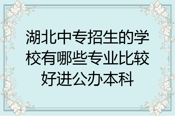 湖北中专招生的学校有哪些专业比较好进公办本科