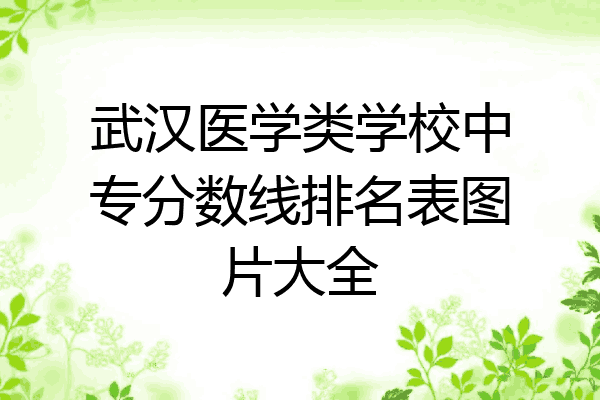 武汉医学类学校中专分数线排名表图片大全