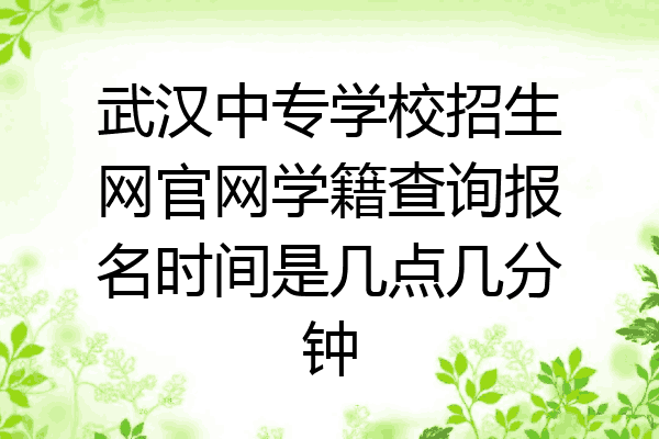 武汉中专学校招生网官网学籍查询报名时间是几点几分钟