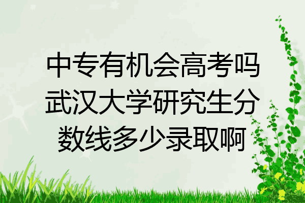 中专有机会高考吗武汉大学研究生分数线多少录取啊
