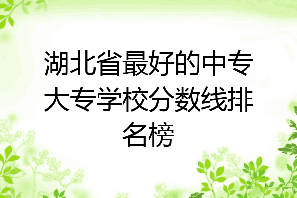 湖北省最好的中专大专学校分数线排名榜