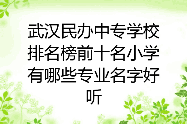 武汉民办中专学校排名榜前十名小学有哪些专业名字好听
