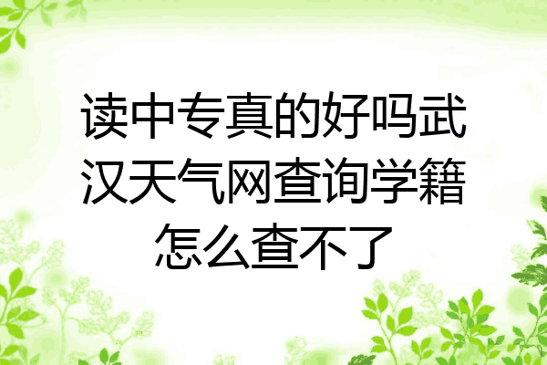 读中专真的好吗武汉天气网查询学籍怎么查不了