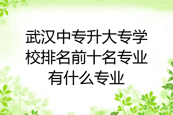 武汉中专升大专学校排名前十名专业有什么专业
