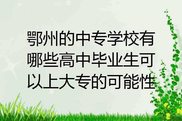 鄂州的中专学校有哪些高中毕业生可以上大专的可能性