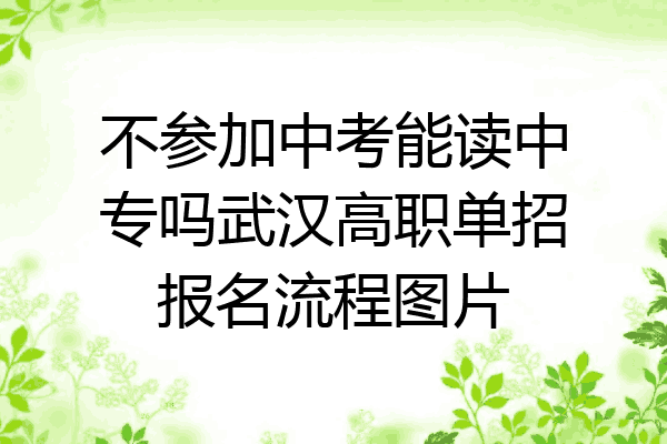 不参加中考能读中专吗武汉高职单招报名流程图片