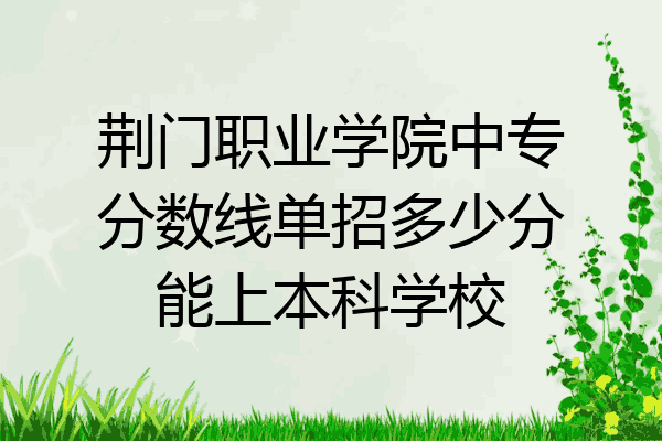 荆门职业学院中专分数线单招多少分能上本科学校