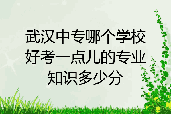 武汉中专哪个学校好考一点儿的专业知识多少分