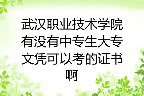 武汉职业技术学院有没有中专生大专文凭可以考的证书啊