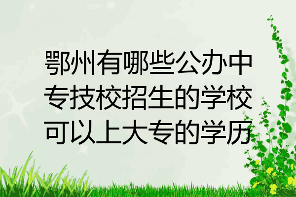 鄂州有哪些公办中专技校招生的学校可以上大专的学历