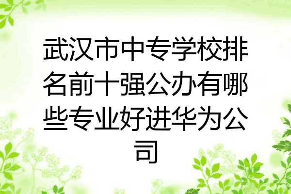 武汉市中专学校排名前十强公办有哪些专业好进华为公司