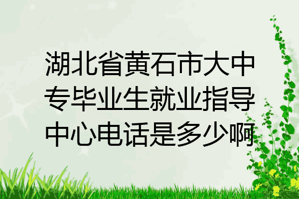 湖北省黄石市大中专毕业生就业指导中心电话是多少啊