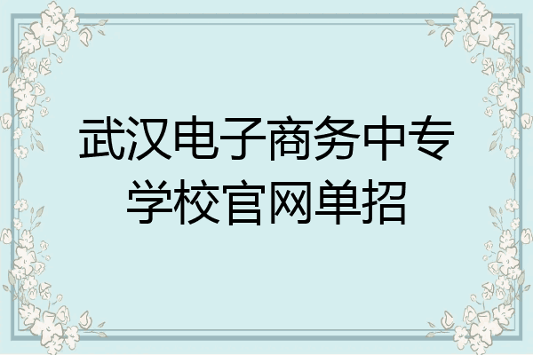 武汉电子商务中专学校官网单招