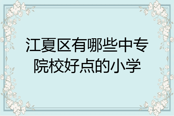 江夏区有哪些中专院校好点的小学