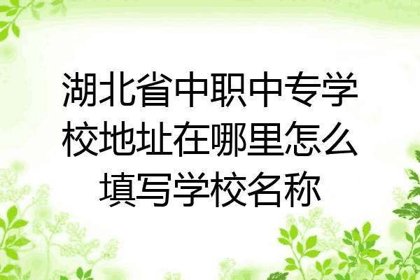 湖北省中职中专学校地址在哪里怎么填写学校名称