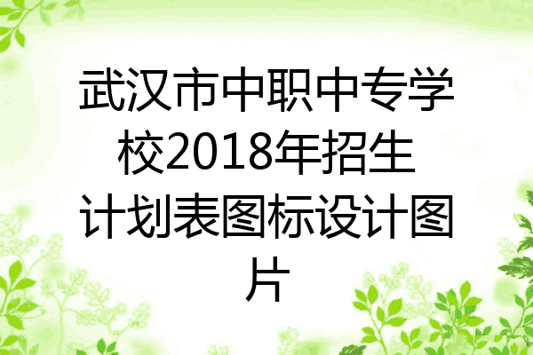 武汉市中职中专学校2018年招生计划表图标设计图片